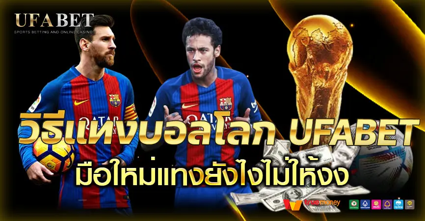 วิธีแทงบอลโลก 2026 สำหรับมือใหม่ เริ่มยังไงไม่ให้งง และไม่พลาดตั้งแต่บิลแรก